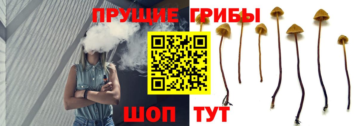 Псилоцибиновые грибы мухоморы  Вход с VPN  Унеча 